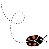 background shape