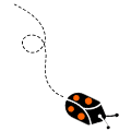 background shape