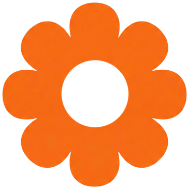 background shape